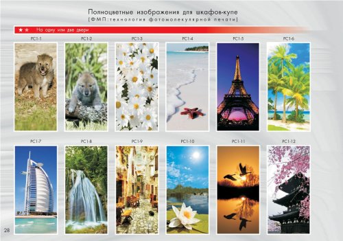 Шкаф-купе-ФМП-2
