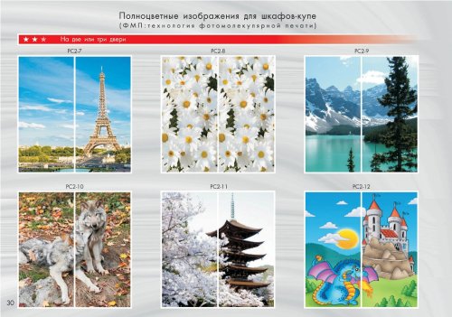 Шкаф-купе-ФМП-2
