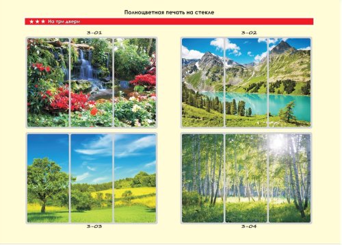 Шкаф-купе-ФМП-2
