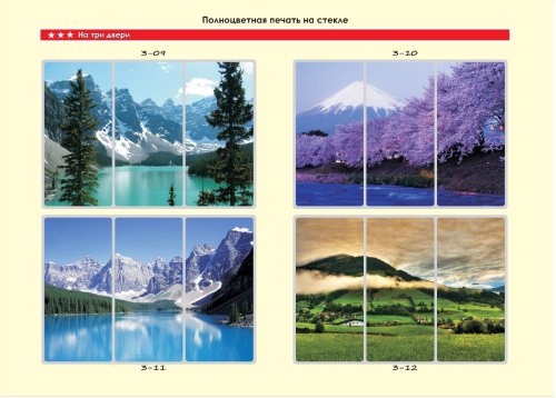 Шкаф-купе-ФМП-2
